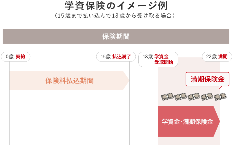 子どもが小さいときから、教育費を準備できる。