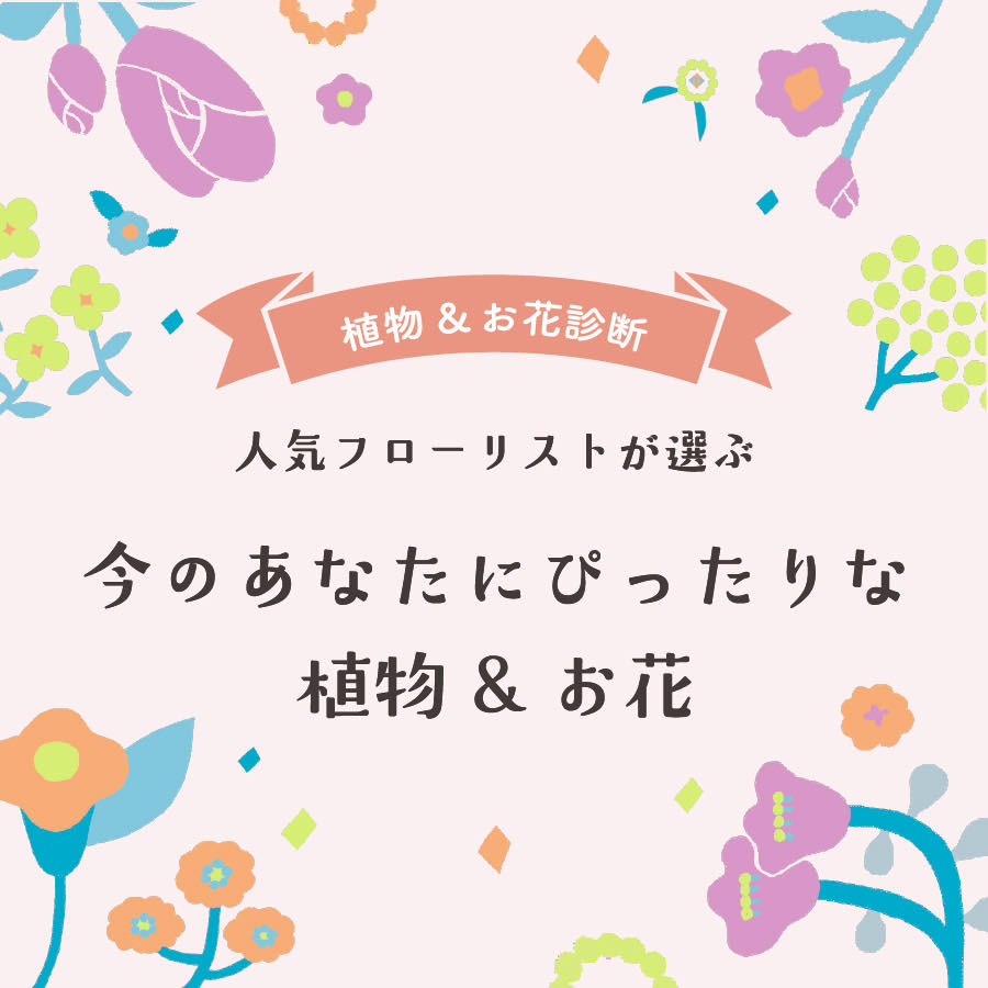 日々の暮らしに寄り添ってくれる、今のあなたにぴったりな植物と花診断のタイトル画像 