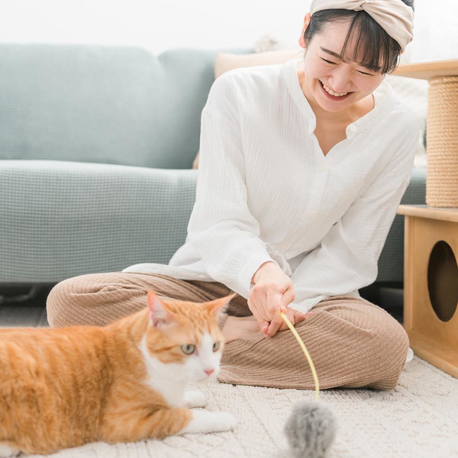 猫を飼う費用は？飼育経験豊富なFPが初期＆1か月の目安を解説。