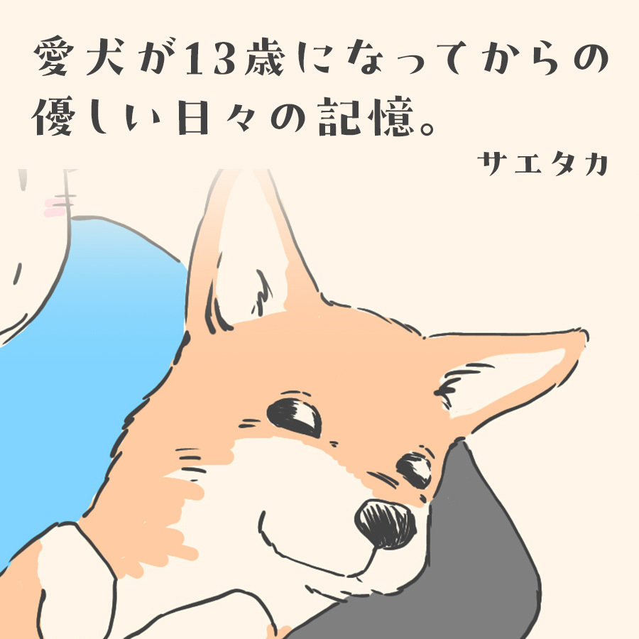 【マンガ】愛犬が13歳になってからの優しい日々の記憶。メインビジュアル。