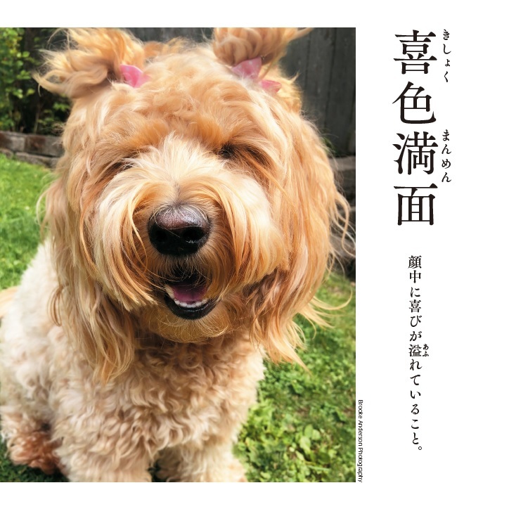 喜色満面　顔中に喜びが溢れていること。