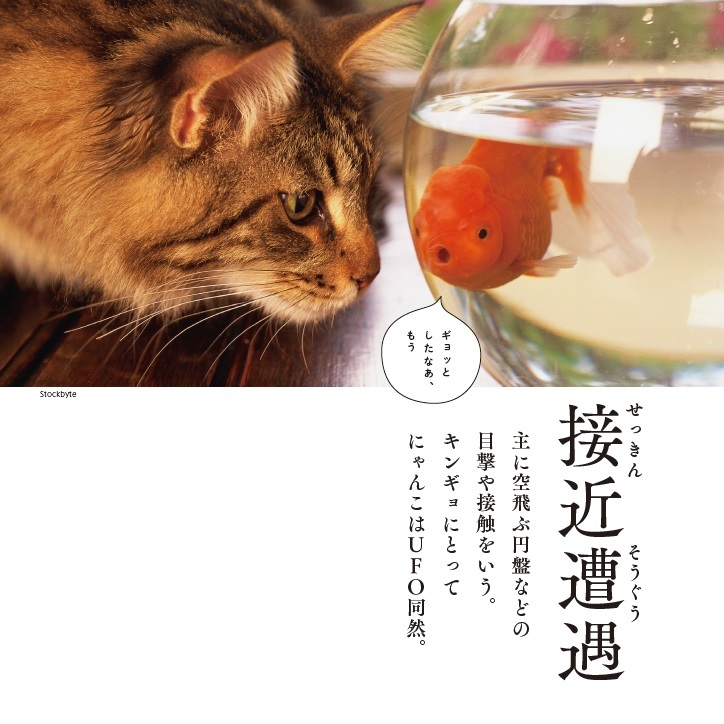 接近遭遇_主に空飛ぶ円盤などの目撃や接触をいう。 キンギョにとってにゃんこはＵＦＯ同然。