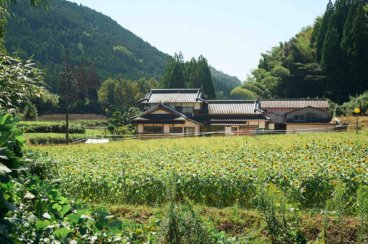 川村侑未さんが暮らす熊本の風景