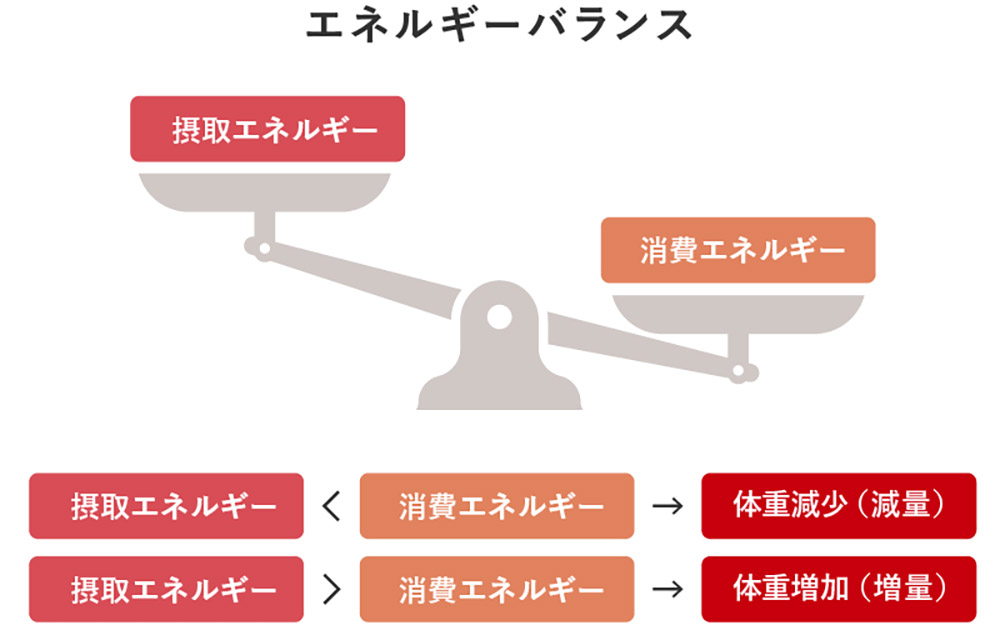 エネルギーバランス