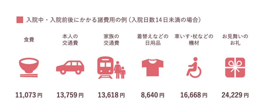 医療費とは別にかかる諸費用の例