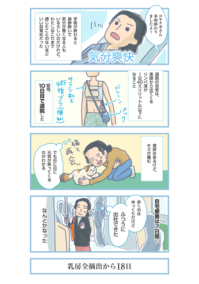 【実録マンガ】おっぱい、グッバイ。「おひとりさまの乳がん体験記」⑧