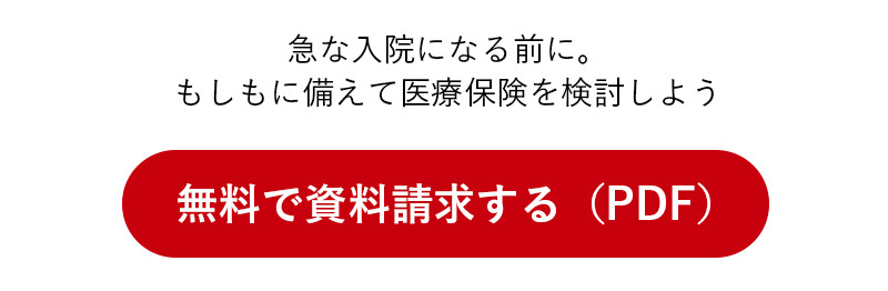 無料で資料請求する(PDF)