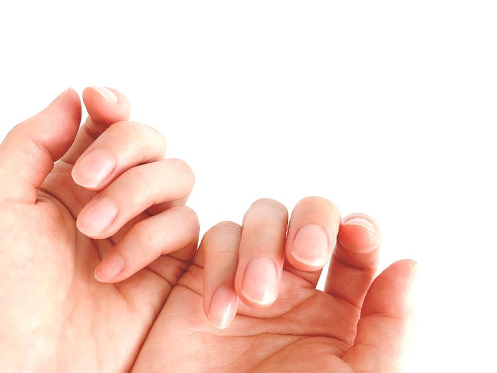 爪が割れる原因は栄養不足と刺激。病気の可能性は？