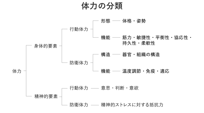 体力の分類