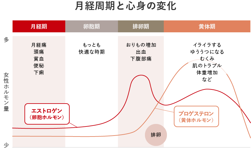 月経周期と心身の変化