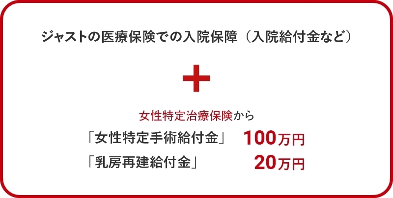 女性特定治療保険から支払われる金額を基準給付金額100万円で算出 。 