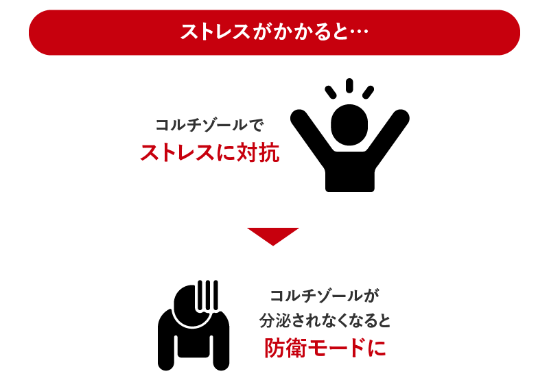 ストレスがかかると体に起きる変化。