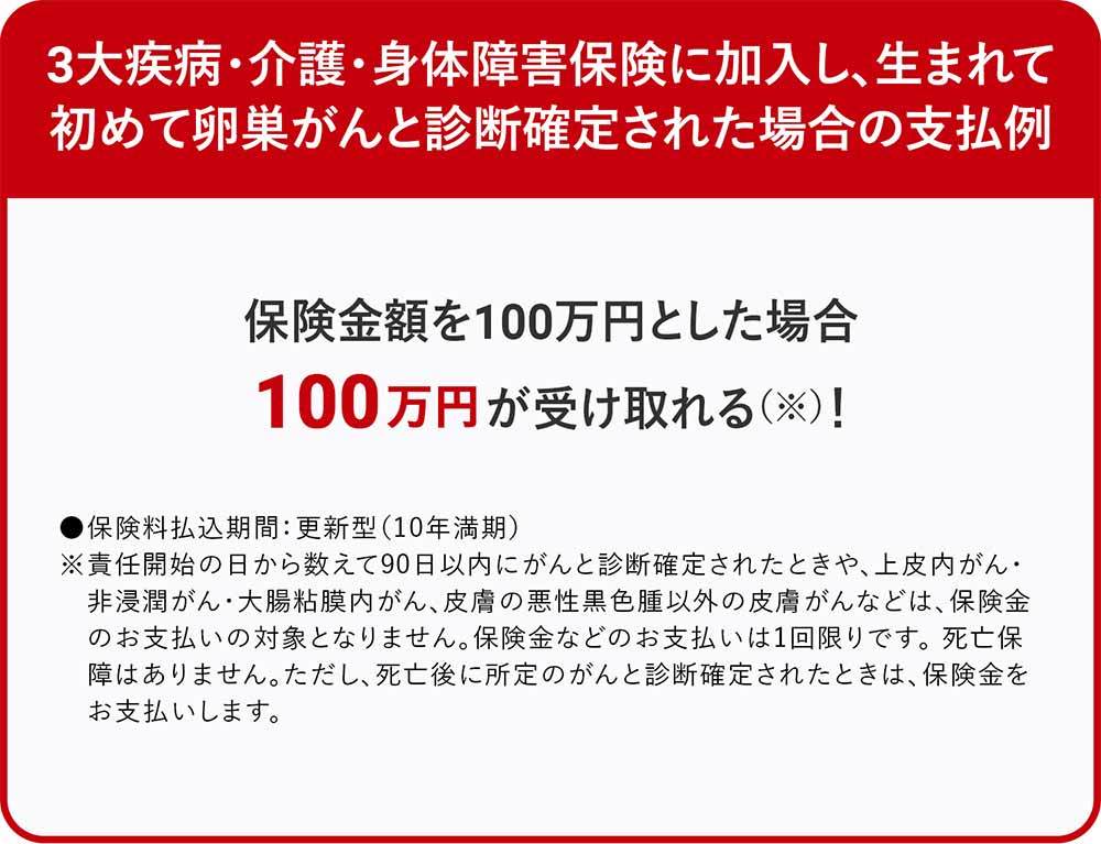 3大疾病・介護・身体障害保険の支払例