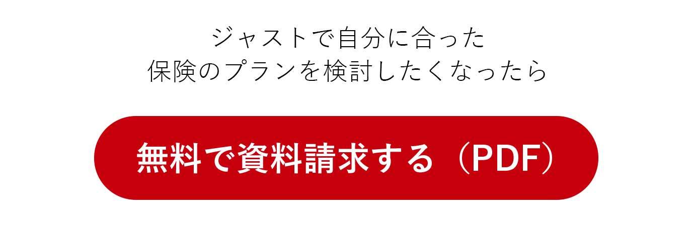無料で資料請求する(PDF)