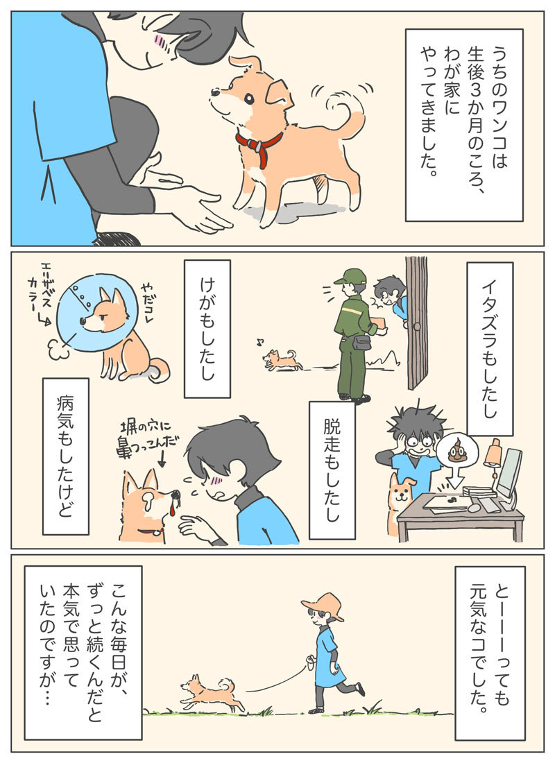 【マンガ】愛犬が13歳になってからの優しい日々の記憶。1ページ目。