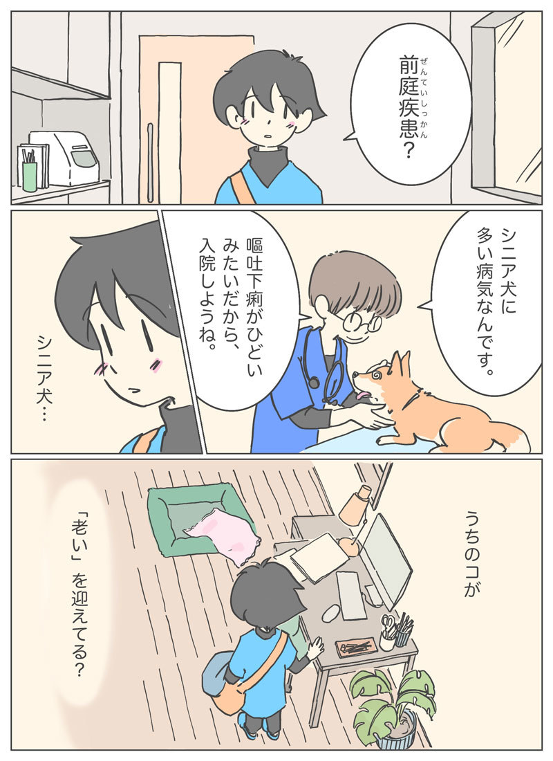 【マンガ】愛犬が13歳になってからの優しい日々の記憶。3ページ目。