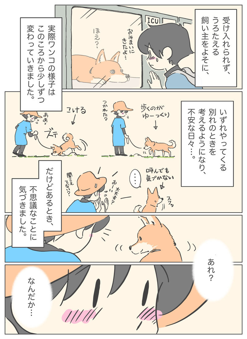 【マンガ】愛犬が13歳になってからの優しい日々の記憶。4ページ目。