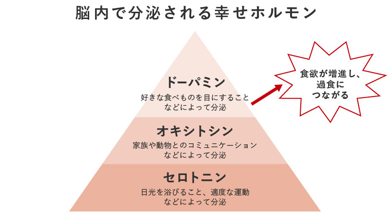 脳内で分泌される幸せホルモン