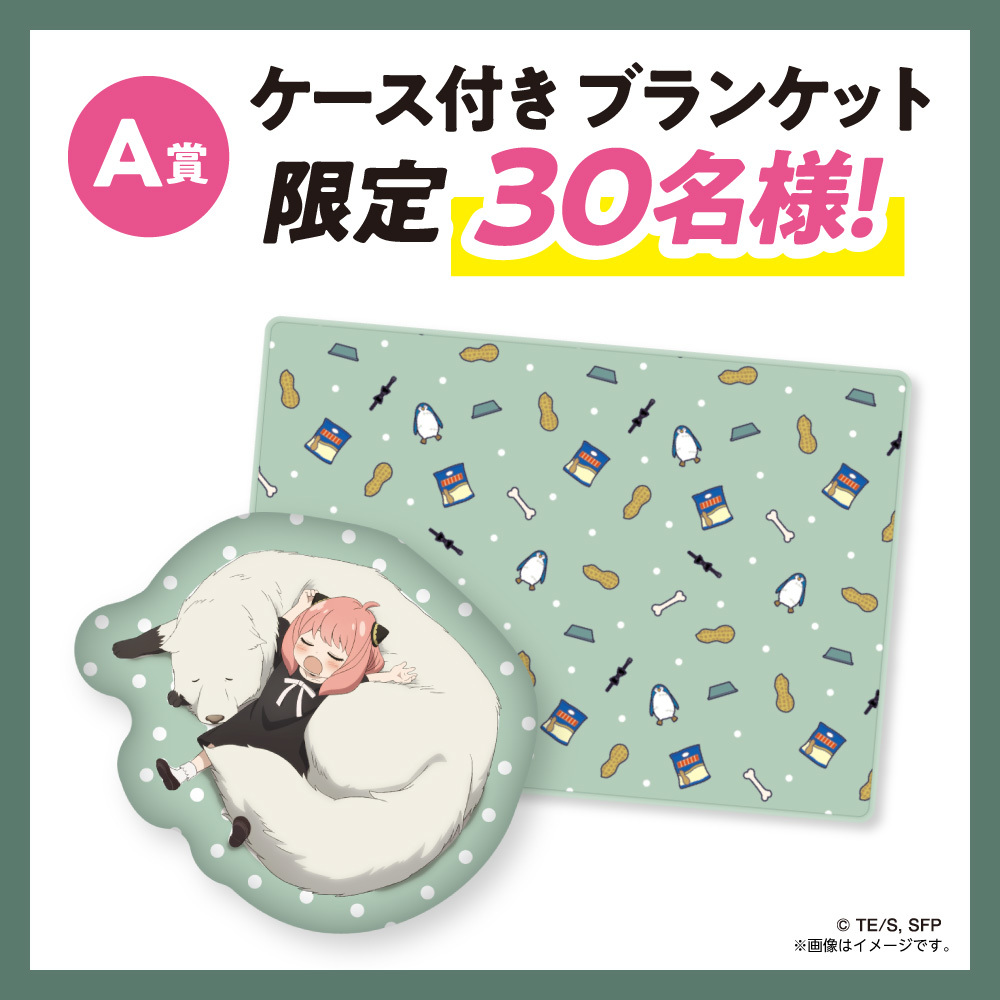 Ａ賞：ケース付きブランケット　抽選で30名様