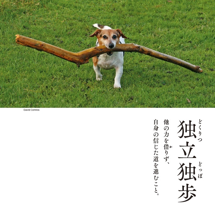 ちょっとひと息 わんにゃん四字熟語「独立独歩」「無芸大食